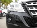 Black - ML 350 Photo No. 23