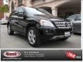 Black - ML 350 Photo No. 26
