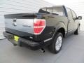 2010 Tuxedo Black Ford F150 Platinum SuperCrew  photo #4