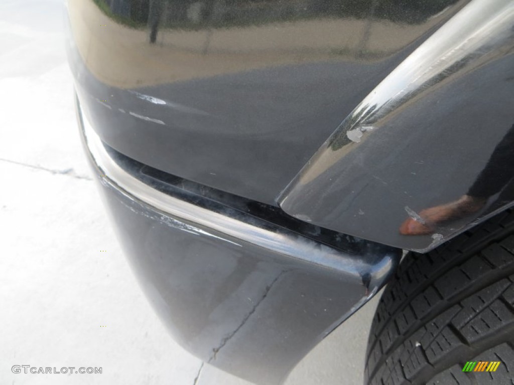 2010 F150 Platinum SuperCrew - Tuxedo Black / Sienna Brown Leather/Black photo #11