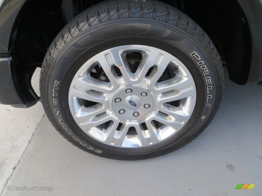 2010 F150 Platinum SuperCrew - Tuxedo Black / Sienna Brown Leather/Black photo #12