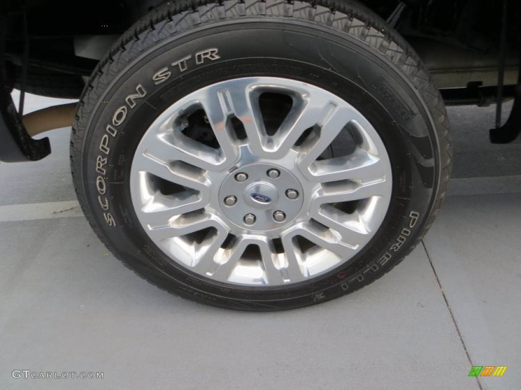 2010 F150 Platinum SuperCrew - Tuxedo Black / Sienna Brown Leather/Black photo #14