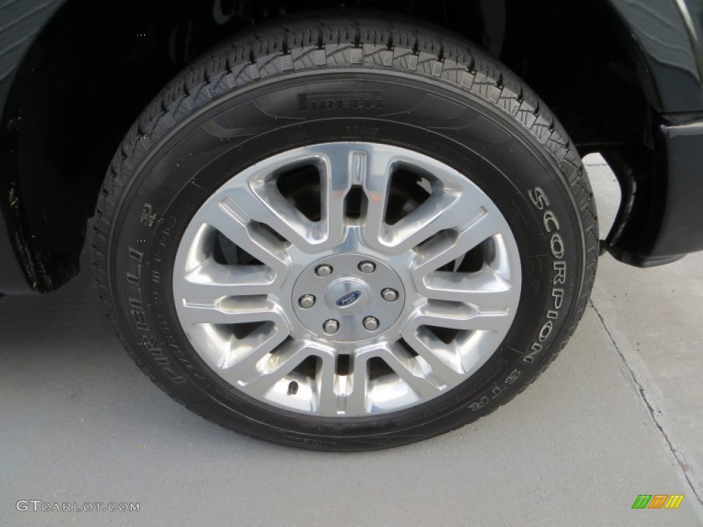 2010 F150 Platinum SuperCrew - Tuxedo Black / Sienna Brown Leather/Black photo #15