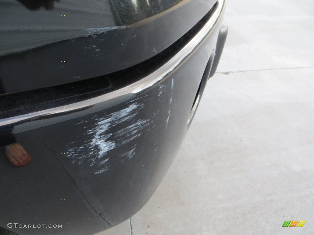 2010 F150 Platinum SuperCrew - Tuxedo Black / Sienna Brown Leather/Black photo #16