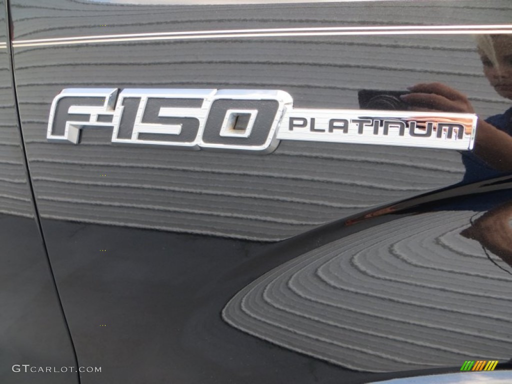 2010 F150 Platinum SuperCrew - Tuxedo Black / Sienna Brown Leather/Black photo #17