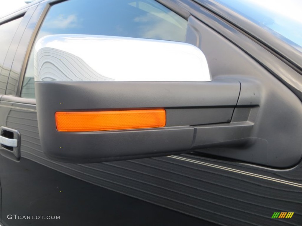 2010 F150 Platinum SuperCrew - Tuxedo Black / Sienna Brown Leather/Black photo #18