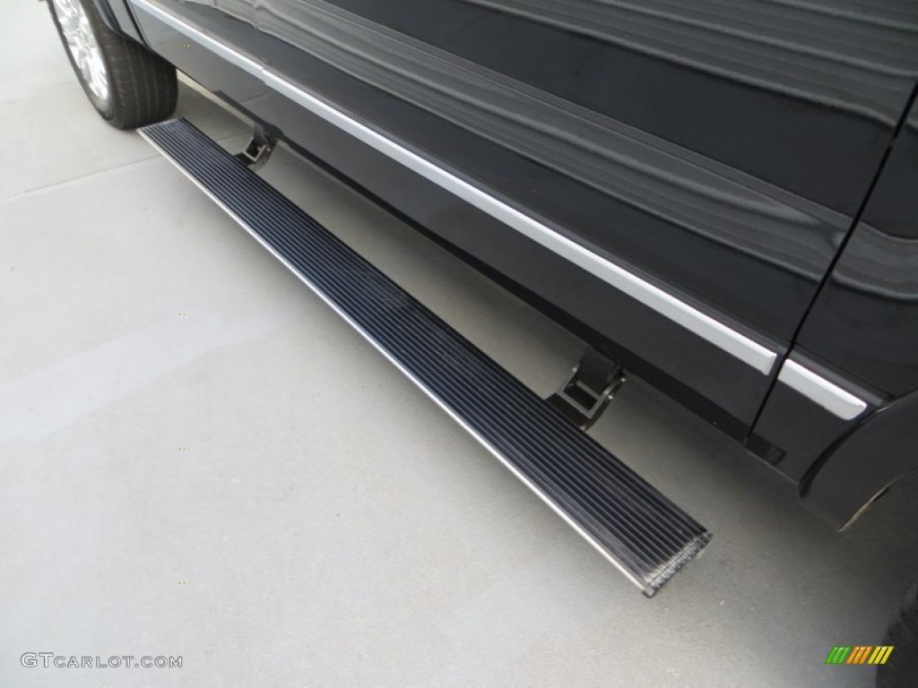 2010 F150 Platinum SuperCrew - Tuxedo Black / Sienna Brown Leather/Black photo #19