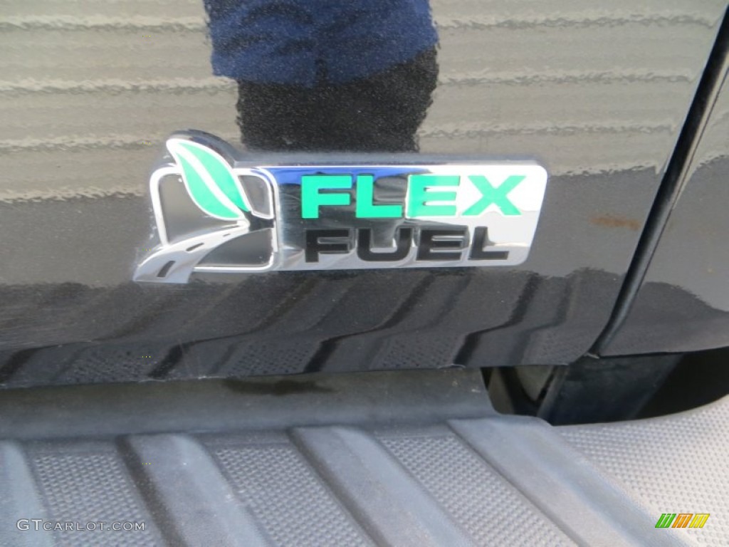 2010 F150 Platinum SuperCrew - Tuxedo Black / Sienna Brown Leather/Black photo #21