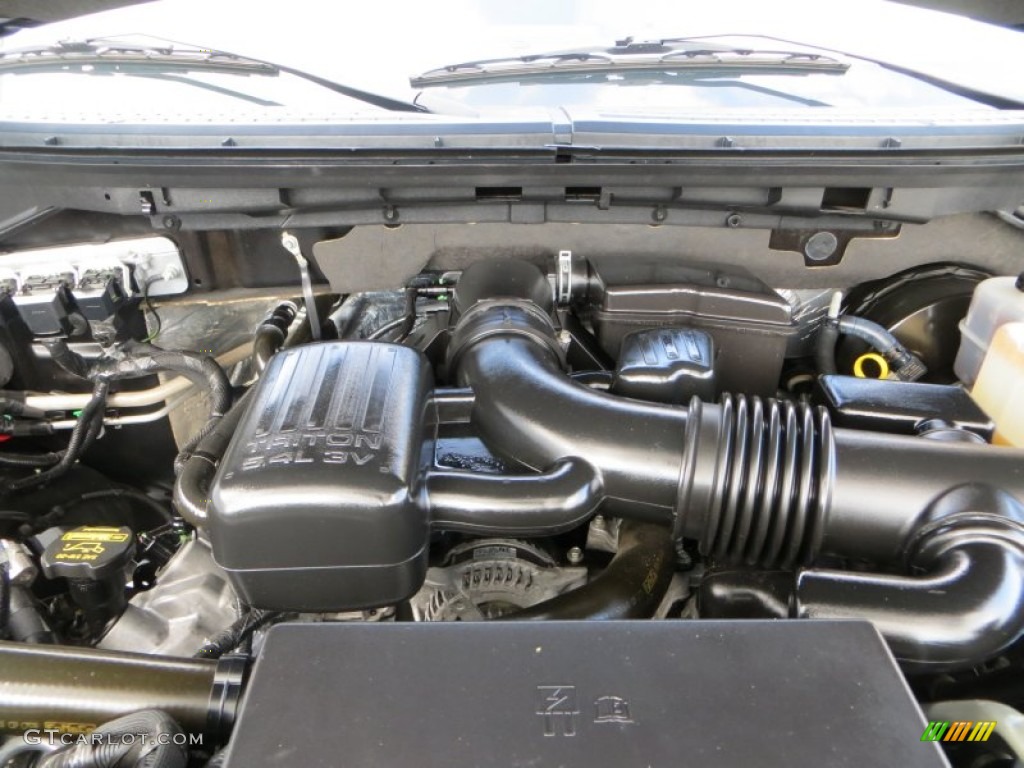 2010 F150 Platinum SuperCrew - Tuxedo Black / Sienna Brown Leather/Black photo #24