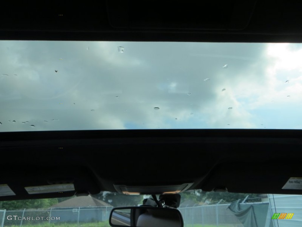 2010 F150 Platinum SuperCrew - Tuxedo Black / Sienna Brown Leather/Black photo #39