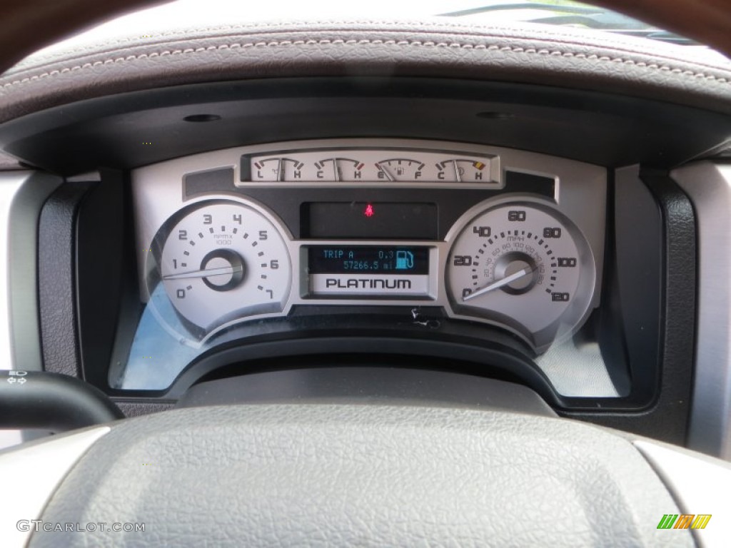 2010 F150 Platinum SuperCrew - Tuxedo Black / Sienna Brown Leather/Black photo #47