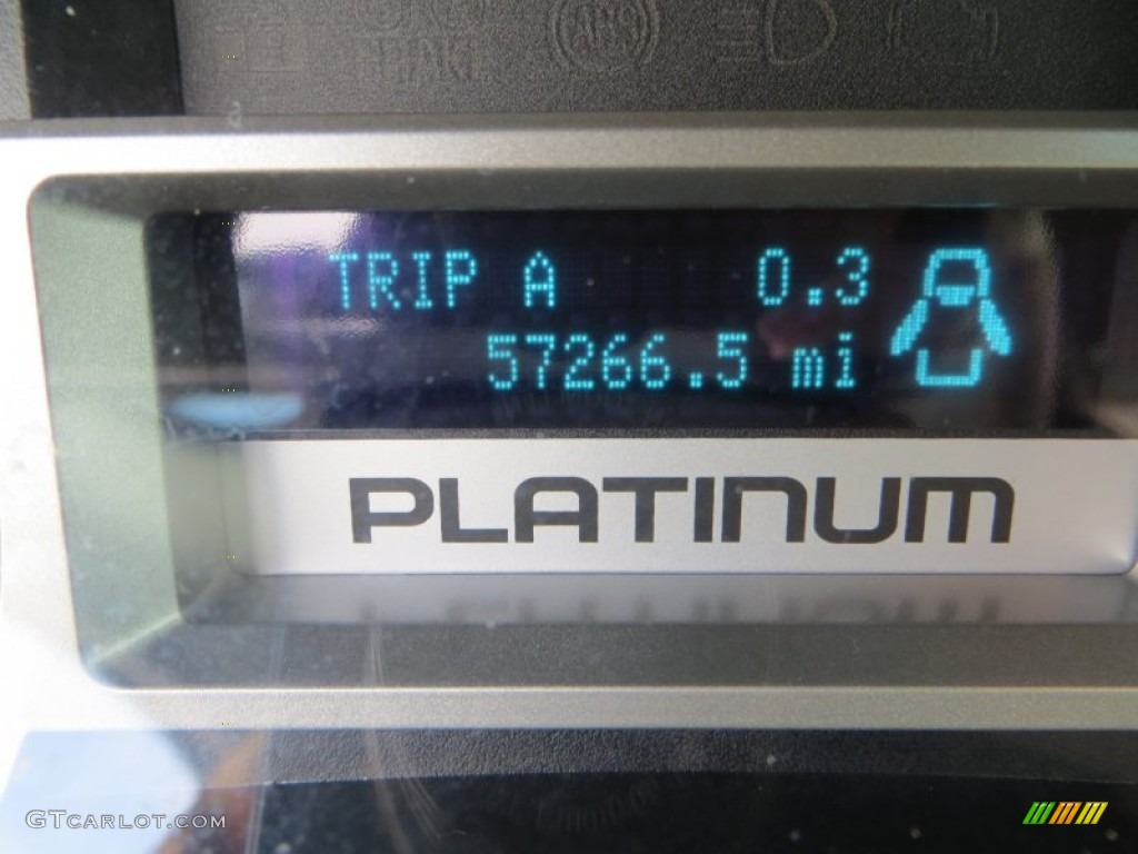 2010 F150 Platinum SuperCrew - Tuxedo Black / Sienna Brown Leather/Black photo #48