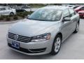 Tungsten Silver Metallic - Passat 2.5L SE Photo No. 3
