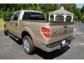 Pale Adobe Metallic - F150 XLT SuperCrew Photo No. 7