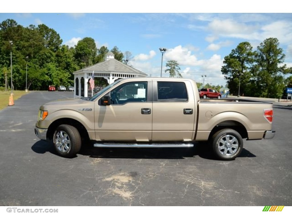 2013 F150 XLT SuperCrew - Pale Adobe Metallic / Adobe photo #8