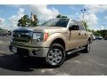 2013 Pale Adobe Metallic Ford F150 XLT SuperCrew 4x4  photo #1