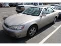 Cashmere Beige Metallic - ES 300 Photo No. 4