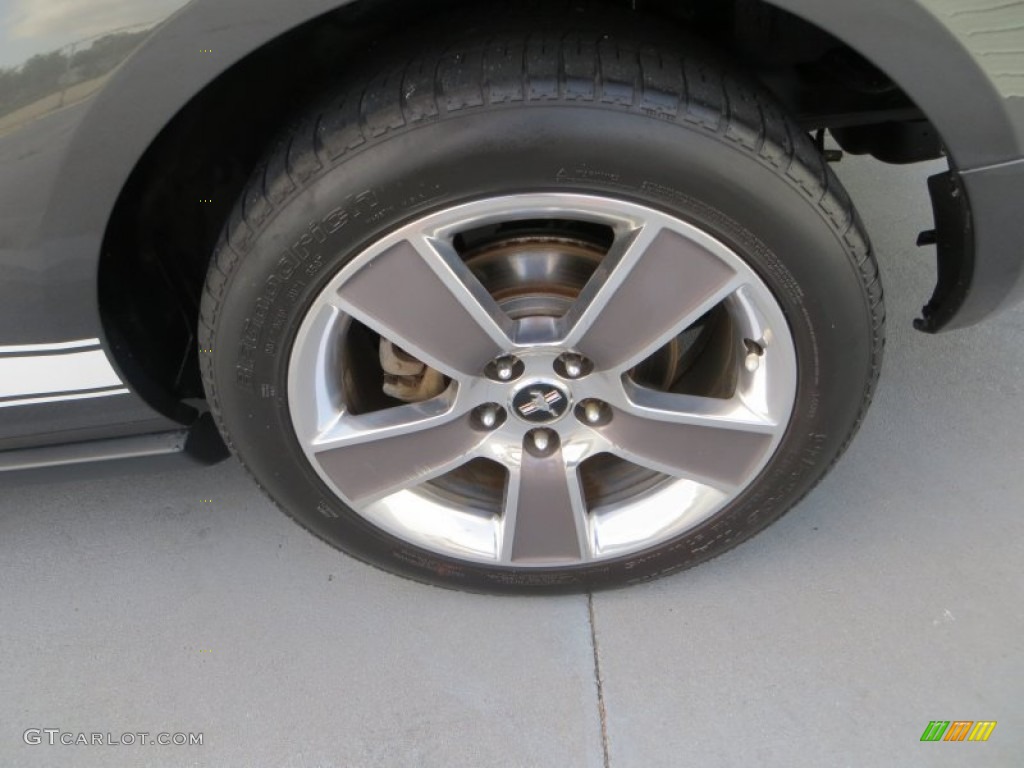 2008 Mustang V6 Premium Coupe - Alloy Metallic / Dark Charcoal photo #15