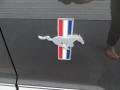 2008 Ford Mustang V6 Premium Coupe Marks and Logos