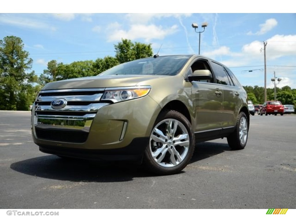 Ginger Ale Metallic 2013 Ford Edge Limited Exterior Photo #81429701