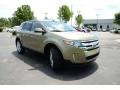 2013 Ginger Ale Metallic Ford Edge Limited  photo #3