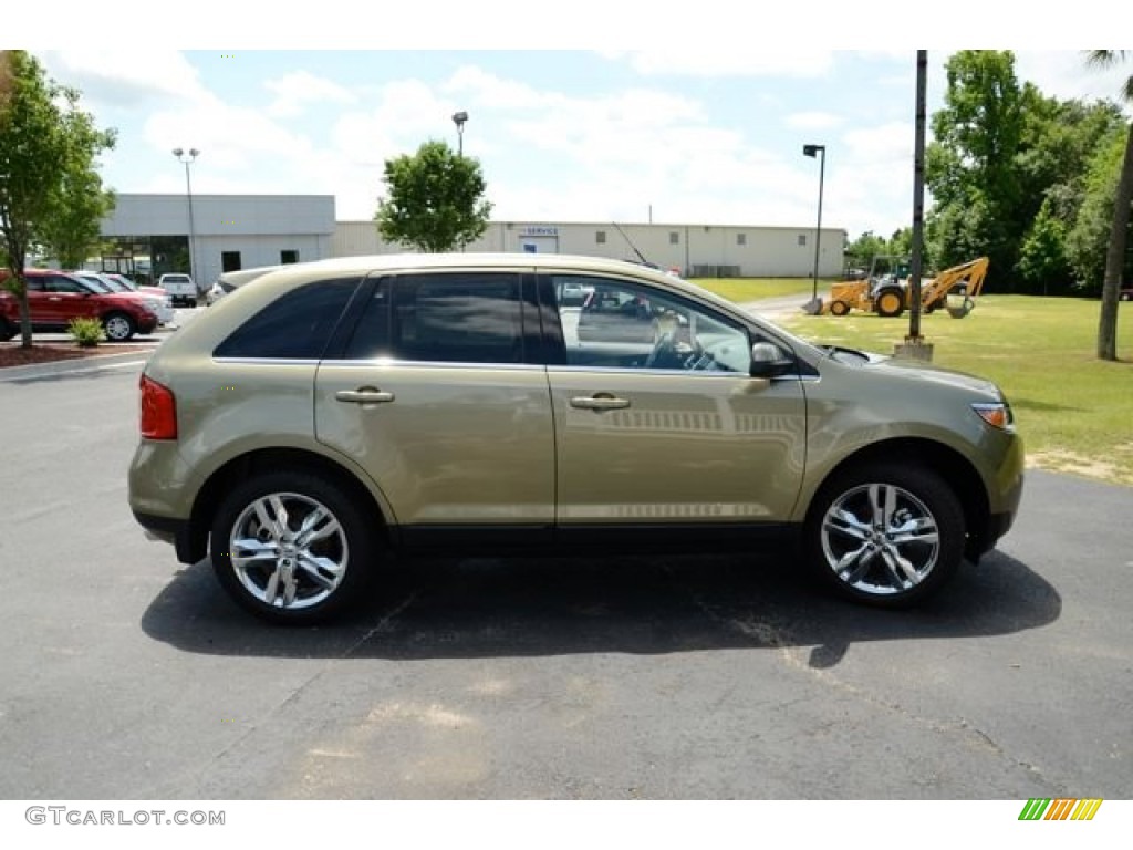 Ginger Ale Metallic 2013 Ford Edge Limited Exterior Photo #81429758