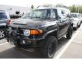 Black Diamond - FJ Cruiser 4WD Photo No. 4
