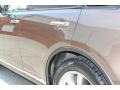 2006 Beryllium Metallic Infiniti FX 35 AWD  photo #20