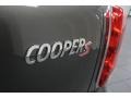 Royal Gray Metallic - Cooper S Countryman Photo No. 32