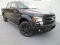 Tuxedo Black Metallic 2013 Ford F150 FX2 SuperCrew Exterior