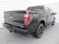 Tuxedo Black Metallic 2013 Ford F150 FX2 SuperCrew Exterior