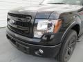 Tuxedo Black Metallic - F150 FX2 SuperCrew Photo No. 10