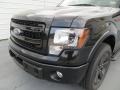 Tuxedo Black Metallic - F150 FX2 SuperCrew Photo No. 10