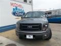 2013 Sterling Gray Metallic Ford F150 FX2 SuperCrew  photo #1