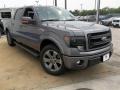 2013 Sterling Gray Metallic Ford F150 FX2 SuperCrew  photo #8