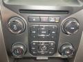 Black Controls Photo for 2013 Ford F150 #81434430