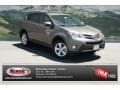 Pyrite Mica - RAV4 XLE AWD Photo No. 1