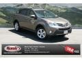 2013 Pyrite Mica Toyota RAV4 XLE AWD  photo #1