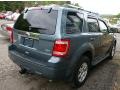 2010 Steel Blue Metallic Ford Escape Limited V6 4WD  photo #11