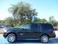 Black - Expedition XLT Photo No. 2