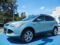2013 Frosted Glass Metallic Ford Escape SEL 1.6L EcoBoost  photo #1