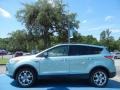  2013 Escape SEL 1.6L EcoBoost Frosted Glass Metallic