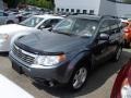 2009 Sage Green Metallic Subaru Forester 2.5 X L.L.Bean Edition  photo #3