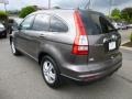 2010 Urban Titanium Metallic Honda CR-V EX-L AWD  photo #3