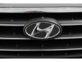 Carbon Gray Metallic - Elantra GLS Sedan Photo No. 14