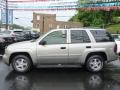 2003 Light Pewter Metallic Chevrolet TrailBlazer LT 4x4  photo #2