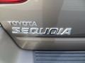 Phantom Gray Pearl - Sequoia SR5 Photo No. 20