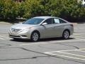 Camel Pearl - Sonata GLS Photo No. 1