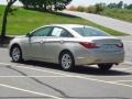 Camel Pearl - Sonata GLS Photo No. 3