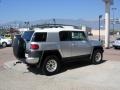 Titanium Metallic - FJ Cruiser 4WD Photo No. 12